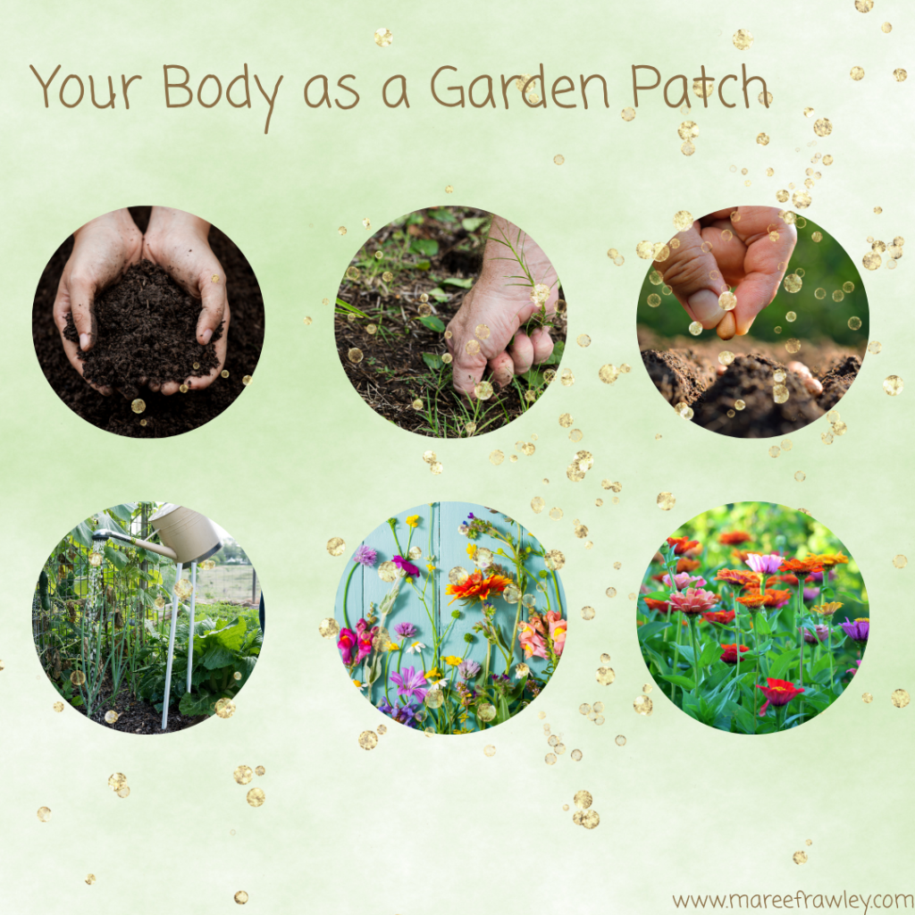 Holistic Health Therapeutic Yoga Maree Frawley @mareerejuvenate Heavy Metal Cleanse